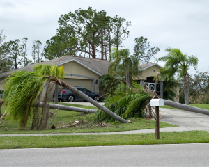 Yard Debris Removal in Pasco and Pinellas County: Keep Your Property Clean After Outdoor Projects