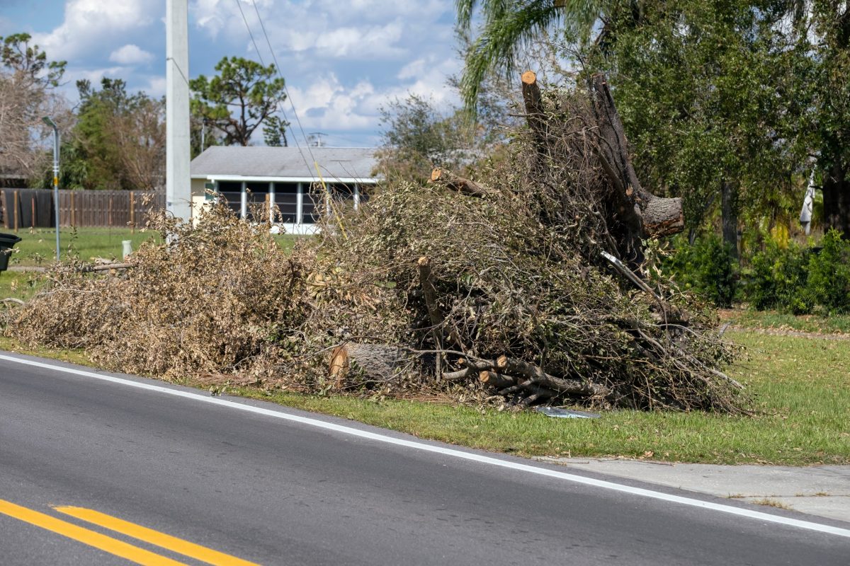 Heaps of limbs and branches debris from hurricane winds on street side waiting for recovery truck pickup in residential area. Consequences of natural disaster.