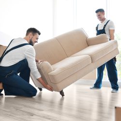 Furniture Removal